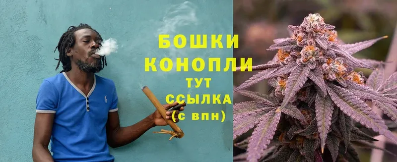 Конопля SATIVA & INDICA  купить наркотик  Зеленогорск 